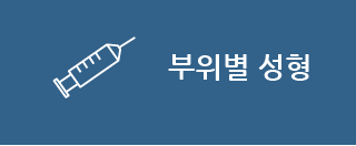 부위별 성형