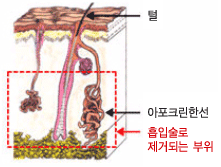 MK성형외과